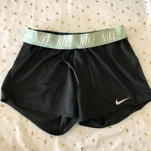 Nike Mint and Grey Dri-Fit Shorts